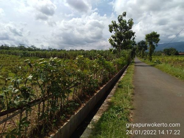 Jual Tanah Murah di Karanglewas Purwokerto Lokasi Strategis Cocok Untuk Hunian dan Cafe Resto Luas 2100 Meter